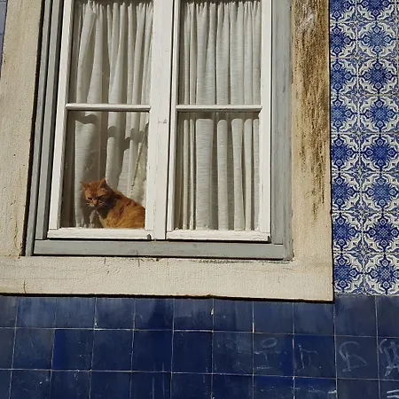 Отель Fenicius Charme Лиссабон