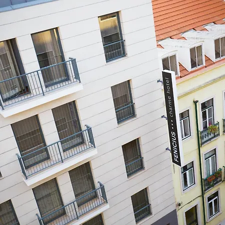 호텔 페니시우스 샤르므 3*