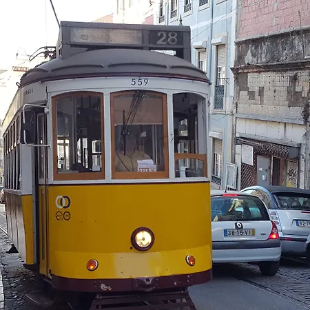 페니시우스 샤르므 호텔