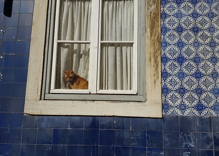 Hotel Fenicius Charme Lissabon